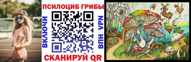 Псилоцибиновые грибы прущие грибы  Богородск 