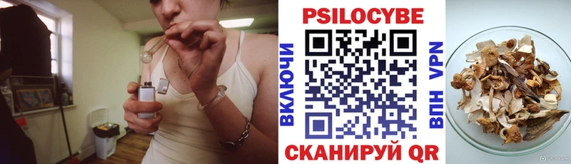 Псилоцибиновые грибы мухоморы Богородск